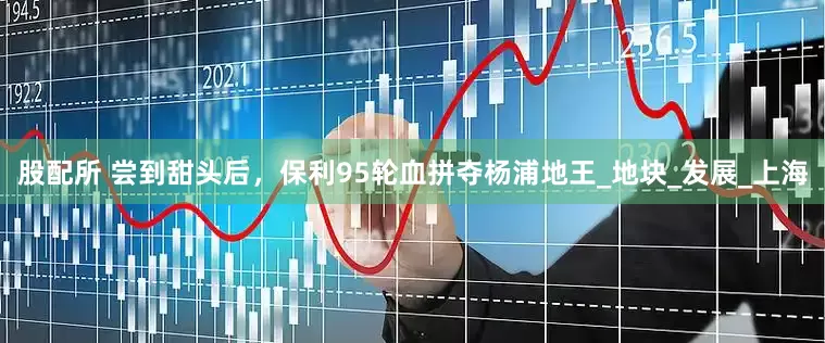 股配所 尝到甜头后，保利95轮血拼夺杨浦地王_地块_发展_上海