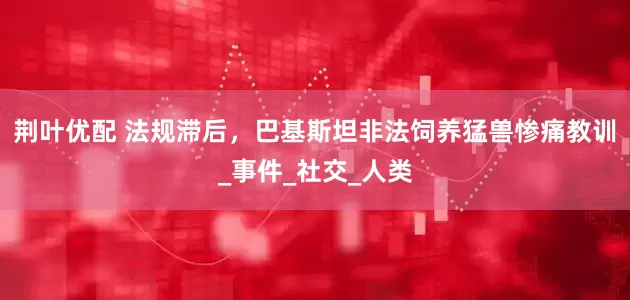 荆叶优配 法规滞后，巴基斯坦非法饲养猛兽惨痛教训_事件_社交_人类