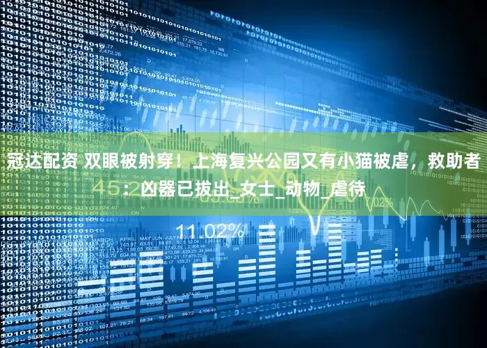 冠达配资 双眼被射穿！上海复兴公园又有小猫被虐，救助者：凶器已拔出_女士_动物_虐待