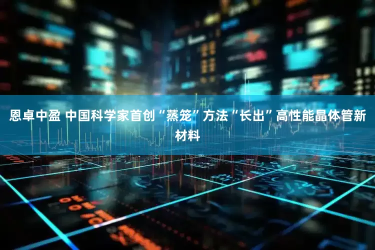 恩卓中盈 中国科学家首创“蒸笼”方法“长出”高性能晶体管新材料