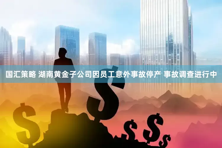 国汇策略 湖南黄金子公司因员工意外事故停产 事故调查进行中